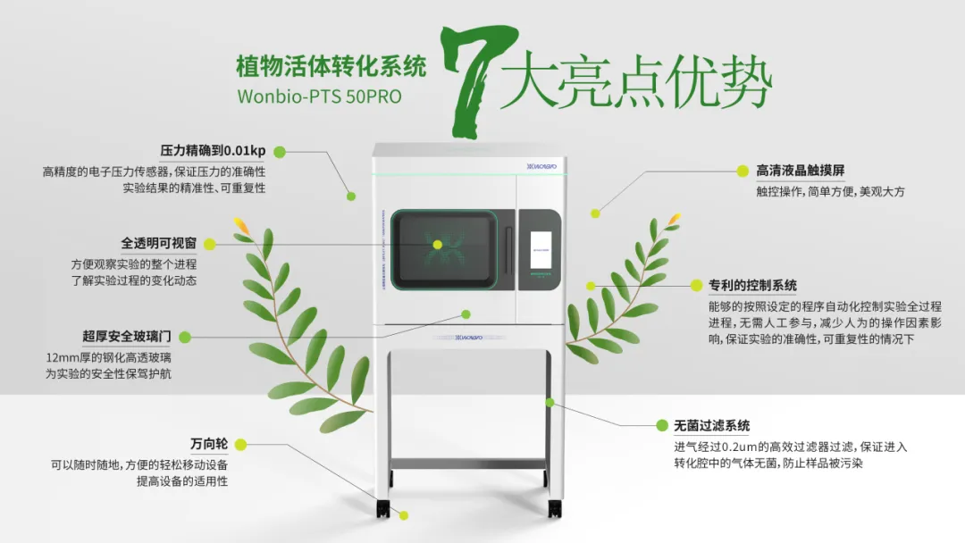 植物活体转化系统在辣椒瞬时转化效果的应用案例