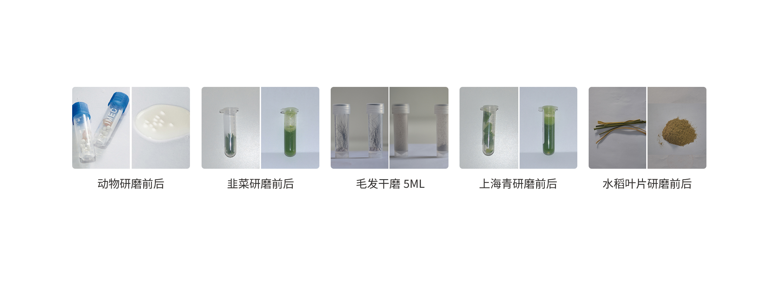 冷冻的.jpg