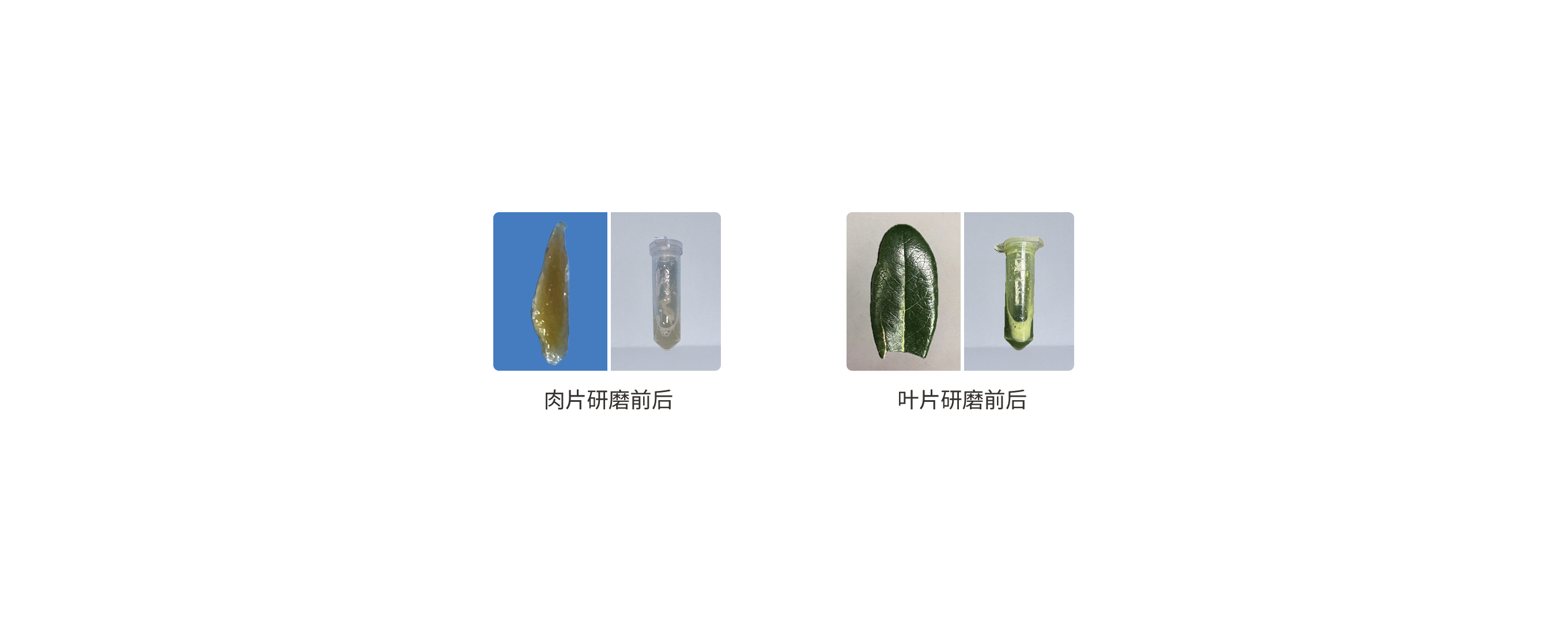 ZY100案例.jpg